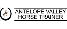 AV Horse Trainer customer of Suncrest Media